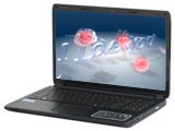  A560P-i3 D5