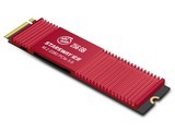 P200256GB