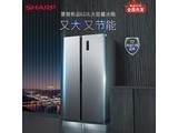 ����BCD-610WSBJ-H