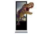 ξ��3D������ʽƫ���������VR 3D55����ʽ3D��ʾ��