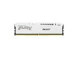 ʿFURY Beast 16GB DDR5 5600 ɫ