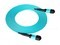 άMPO-MPO12оOM3ģ40G(10M)