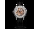 F.P. Journe Astronomic Souveraine - Ref. AST